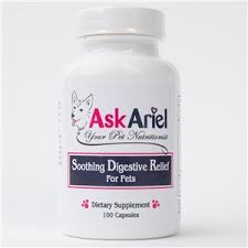 Maybe you would like to learn more about one of these? Natural Dog Cat Vitamins Supplements Buy Pet Supplements Online