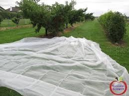 L Ensachage Pour La Protection Des Fruits Ma Passion Du Verger