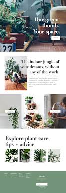 Evergreen Plant Shop Website In 2020 Plants Business Web Design Modern Website Design
