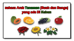 Bunga merupakan bagian dari tumbuhan. Bahasa Arab Tanaman Buah Dan Bunga Yang Ada Di Kebun Youtube