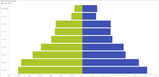 creating a population pyramid chart using stacked bar charts