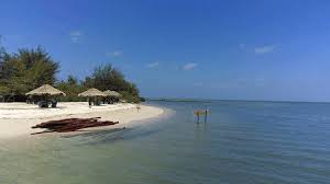 We did not find results for: Kumpulan Puisi Tentang Pantai Laut