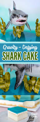 Shark Cake Tutorial Kopekbaliklari Pastalar Pasta