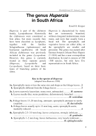 Image result for Huperzia dacrydioides