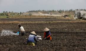For more information and source, see on this link : Upah Nominal Buruh Tani Dan Buruh Bangunan Naik Tipis Di Desember 2020