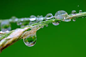 Warmes Wasser Trinken Darum Ist Es So Gesund Ihlevital