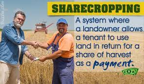 The Pros And Cons Of The Sharecropping System Explained Historyplex