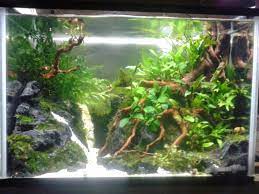 Apakah Anda Pernah Lihat Aquarium Yang Didalamnya Ada Air Terjun Mungkin Anda Akan Sangat Heran Kog Bisa Ada Air Terjun Didalam Air Aquarium Air Terjun Air