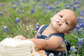 Dana Heckler Photography (@danahecklerphotography) • Instagram photos and  videos