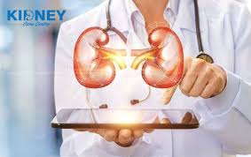 Pin On Kidneycarecentre