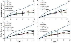 Growth Rate Over 10 Days Period Of Fusarium Graminearum Fus