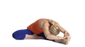 Supported headstand pose a good starting point for advanced yoga workouts. Head To Knee Forward Bend Janu Sirsasana
