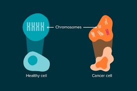 Image result for      V   @ Њ 