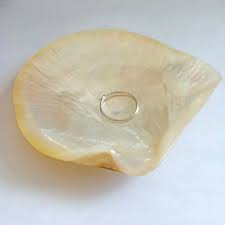 Please let me know if you have any questions. Natural Yellow Mop Shell Nautical Home Decor Jewelry Diy Seashell Beach Wedding Decor Ocean Restaurant Caviar Seasoning Tray Shells Starfishes Aliexpress