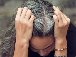 The hair has a tendency to lose its natural colour with advancing age and turn grey, but premature greying is a morbid condition and it makes even the young look older. 4 Ways To Cover Gray Hair Without Hair Dyes The Times Of India