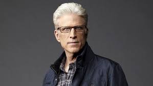 The once white king has always looks regal and distinguished with his silver mane. Ted Danson As Dan Csi Las Vegas Older Mens Hairstyles Csi