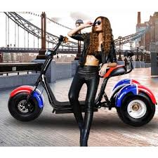 Elektrotrike Trike Scooter Roller Neuheit Elektroroller 2000 Watt Strassenzulassung Elektroroller Roller Elektrisches Dreirad