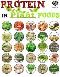 Great Chart On Plant Based Protein Foods With Iron