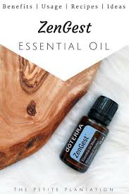 Zengest Essential Oil Blend Of Ginger Root Peppermint Plant Caraway Seed Coriander Seed Anise Seed Tar Ginger Essential Oil Essential Oil Blends Oil Blend