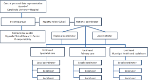 organisational structure of svedem download scientific