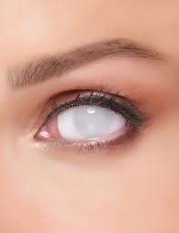 Dieses set enthält ein paar kontaktlinsen, latex milch, kunstblut und einen schwamm die weichen und komfortablen weißen kontaktlinsen haben einen optimalen durchmesser von 14, 50mm. Geisterhafte Kontaktlinsen Fur Erwachsene Weiss Gunstige Halloween Make Up Effekte Bei Horrorklinik