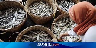 Gaji pt sarden cikarang : Laporan Bantuan Pemerintah Di Sektor Perikanan Tangkap Picu Overfishing Halaman All Kompas Com
