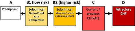 What is the normal heart rate in children? Acvim Consensus Statement Guidelines For The Classification Diagnosis And Management Of Cardiomyopathies In Cats Luis Fuentes 2020 Journal Of Veterinary Internal Medicine Wiley Online Library