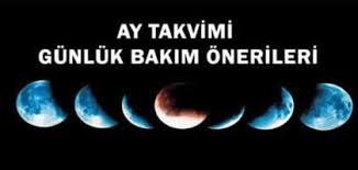 Ay Takvimi Cilt Bakimi Sac Bakimi Epilasyon Gunleri Guzellik Rehberi Makyaj Yontemleri Diyet Yontemleri Saglik Rehberi Yasam Gunluk Bakim Bakken Rehber