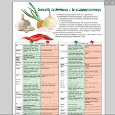 Le Compagnonnage 1 Pdf Pearltrees How To Plan Brocoli Fruit