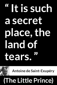 It Is Such A Secret Place The Land Of Tears Antoine De Saint Exupery About Sadness The Little Prince 1943 Wise Men Say Little Prince Quotes The Little Prince Prince