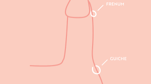 Male Intimate Piercings 