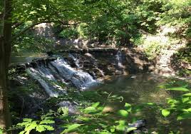 Mackenzie, Author at CRWP