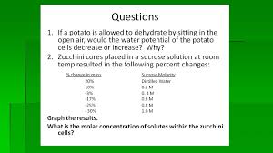 Calculate the solute potential of the solutes within the zucchini cxpres does not change. Water Potential Ppt Download