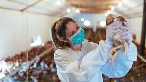 H10n3 is a subtype of the influenza a virus which is commonly known as the bird flu virus. First Human Case Of H10n3 Bird Flu In China Leaves Man Hospitalized Plant Based News