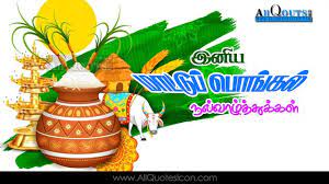 Mattu Pongal Wishes In Tamil Quotes Hd Wallpapers Best Inspiration Quotes On Life Famous Festival Wishes Thai Mattu Pongal Pongal Wishes In Tamil Happy Pongal