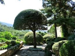 Jardin La Louve Bonnieux Vaucluse 9th June 2011 Garden Jardin Garden Inspiration