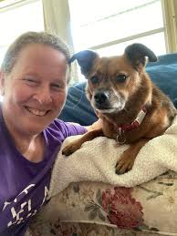 🩷🌷🩷🌷🩷 good morning....