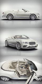 pin on carros de carrera