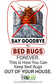 Typically, bed bugs are transferred from one spot to another when individuals travel. Pin On Bed Bugs