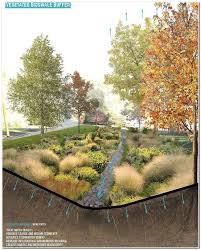 How To Choose The Right Kind Of Plants For Your Swale Landscaping Landscaping Ideas Landscape Diagram Landscape And Urbanism Landscape Architecture Design