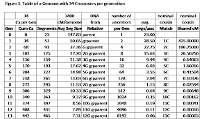 probability of no autosomal segments matching louis