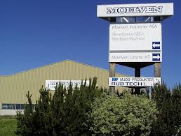 Antiksockel moelven klara furu vitmålad 15x95x3300 mm. Moelven Industrier Glommen Mjosen Skog Dette Ble Prisen Pa Moelven Kjopet Finansieres Med Lante Penger