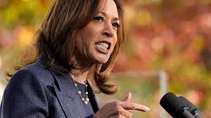 Kamala Harris risked a lot for combative Fox News interview - it may not have paid off | US News | Sky News