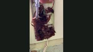 Baku electronics sizə düzgün seçim etməyinizə kömək edəcəkdir. Descoperire TerifiantÄ Intr Un Telefon Ascuns In Perete I A IngheÈat Sangele Cand L A DesfÄcut