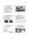 Oceanography Notes PDF by Blobfish | TPT