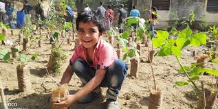 pukaarfoundation.com NGO in Udaipur... - Mission Green India | Facebook