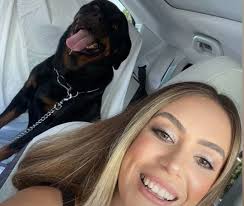 900+ Best Scammer pictures ideas