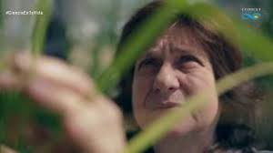 Tecnología contra la sequía trasciende fronteras