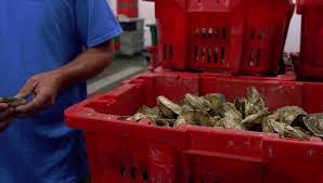 Myles is back! And...