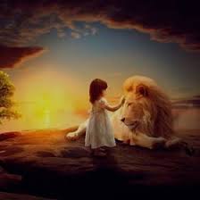 Rita Holley (ritaholley5)